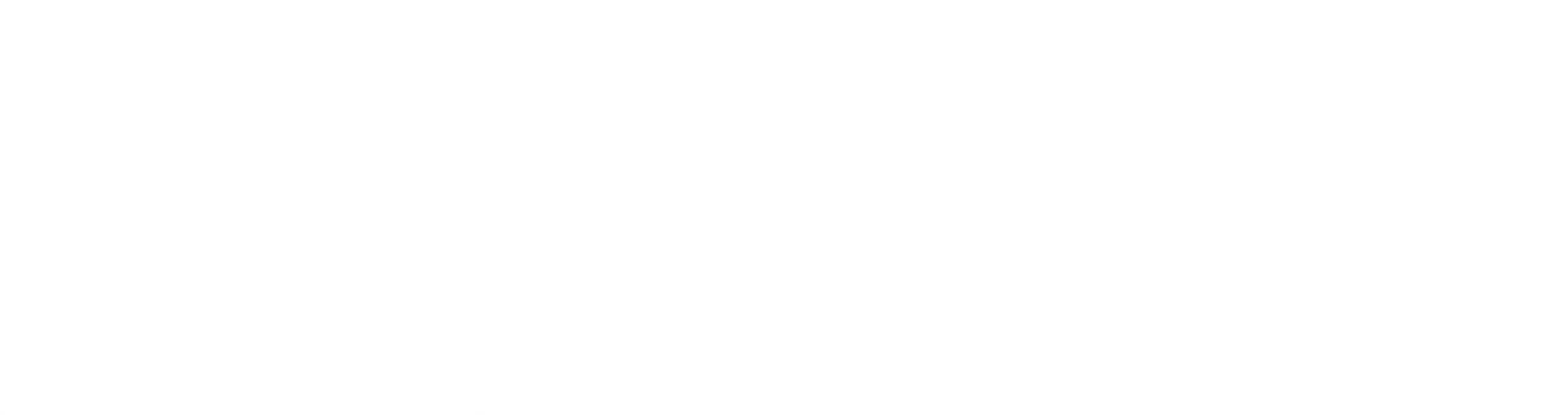 Shadow Ventures Logo