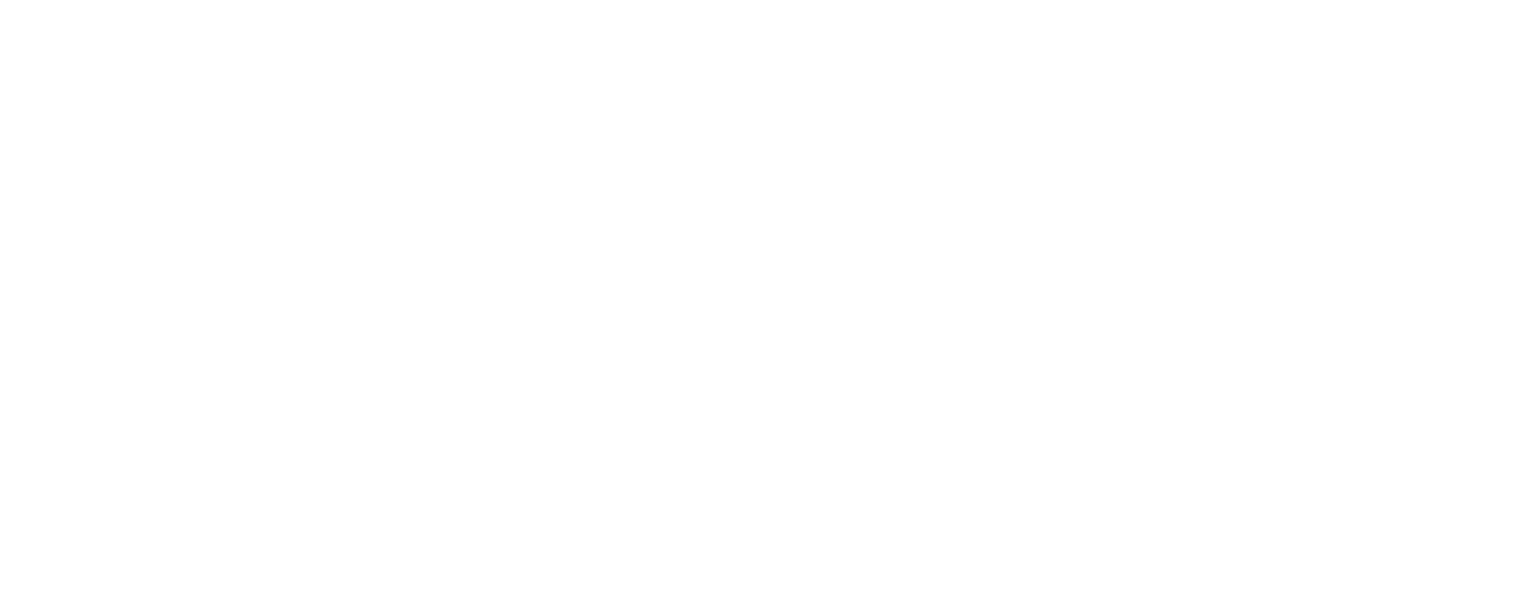 Vita Industrial Logo
