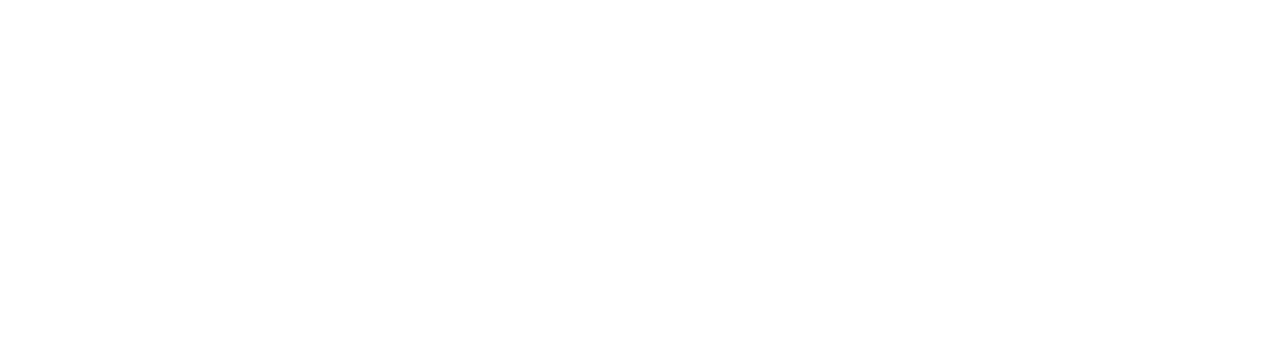 Shadow Ventures